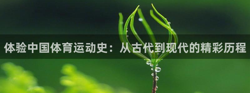 球速体育：体验中国体育运动史：从古代到现代的精彩历程