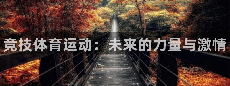 球速体育：竞技体育运动：未来的力量与激情