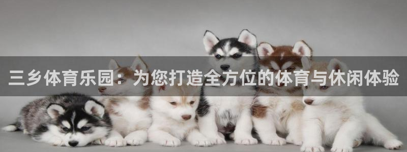 球速体育：三乡体育乐园：为您打造全方位的体育与休闲体验
