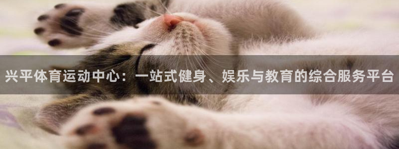球速体育：兴平体育运动中心：一站式健身、娱乐与教育的综合服务平台