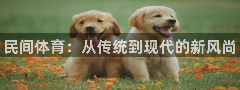 球速体育：民间体育：从传统到现代的新风尚