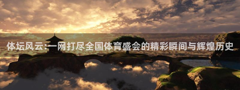 球速体育：体坛风云:一网打尽全国体育盛会的精彩瞬间与辉煌历史