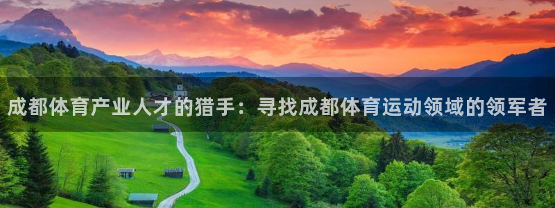 球速体育：成都体育产业人才的猎手：寻找成都体育运动领域的领军者