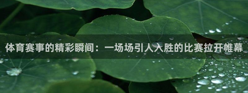 球速体育：体育赛事的精彩瞬间：一场场引人入胜的比赛拉开帷幕