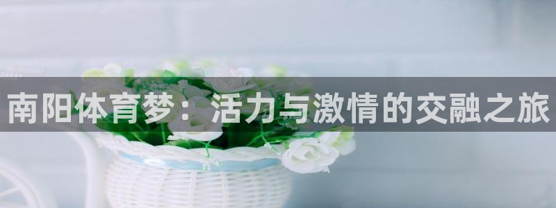 球速体育：南阳体育梦：活力与激情的交融之旅